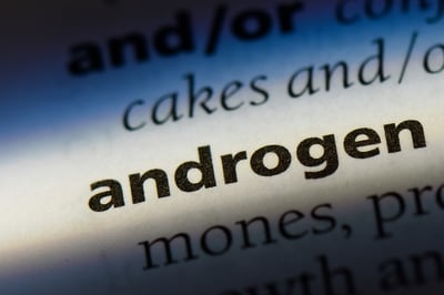 Das Wort "Androgen" in einem Wörterbuch