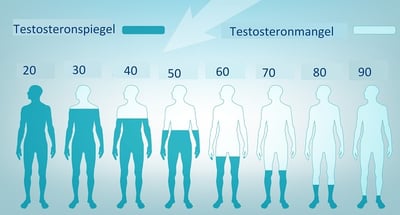  Eine Illustration des mit dem Alter abnehmenden Testosteronspiegels bei Männern