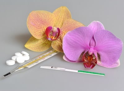 Antibabypillen, Quecksilberthermometer und Ovulationstest mit zwei Orchideenblüten