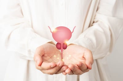 Ein Urologe hält die männliche Prostata als Symbol der Fürsorge in seinen Händen